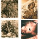 Lith Prints