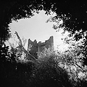 Tipperary & Birr Demesne