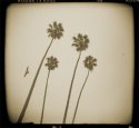 Heisler Park