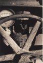 Gauge and Wheel