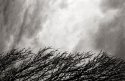 Random image 1 of 5
