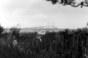Dames Point