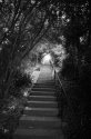 Stairway to Heaven