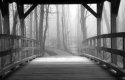 Coverd Bridge