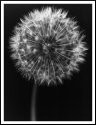 Explosion