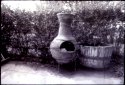 paper negative shots