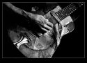 Feel the Blues