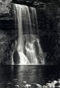 Thornton Force v2