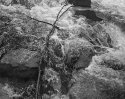 Mason Creek