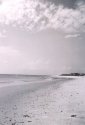 The Beach