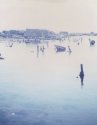 Camargue #2