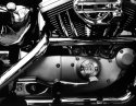 Harley Davidson Engine