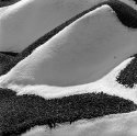 Snow & Gravel