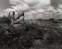 Across the Road #2