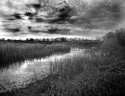 Cosumnes Preserve