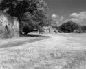 Waverley Abbey