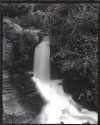 Roswell Mill raceway