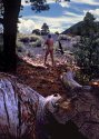 Sylvan Pan 2