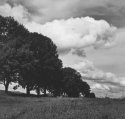 Farm field