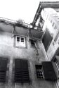 The Window