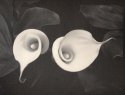 Two Callas