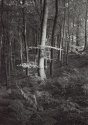 Whatstandwell,Derbyshire,1991