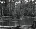 Clear Lake, Louisiana, 2001
