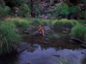 Water Nymph