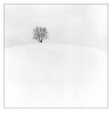 Winter Silence 2