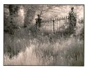 The Gateway