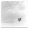 Winter Silence 3