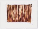 Dried Palm Leaves