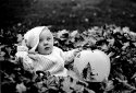 autumn bliss