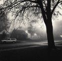 Foggy Morning