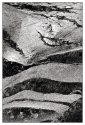 Water Abstract 6