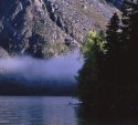 Morning fog on the creek