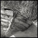 Sopot' Still LIfe