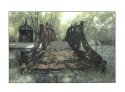 Bridge to the Aviary