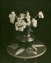 dead flowers in palladium