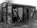 Shed in Wales