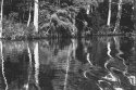 Yeopim Creek North Carolina