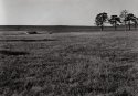 Flint Hills #3