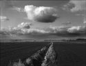 Canal and Cloud