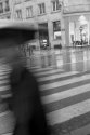 Gray rain
