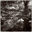 Sertão - Pond