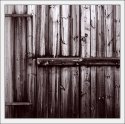Weary Wood