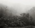Route 128 - Napa County, CA  2004
