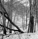 TLR-works / winter 04