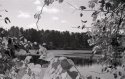 floating over leaves