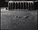 Craps Table